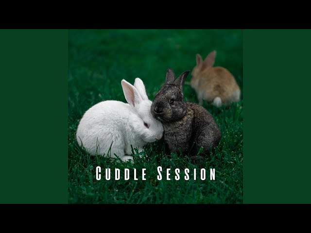 Melodic Meows and Woofs