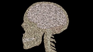 Parts of the Brain song by Aaron Wolf