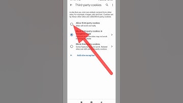 Set this settings for Cookies in Google Chrome browser #shorts ❤❤😘