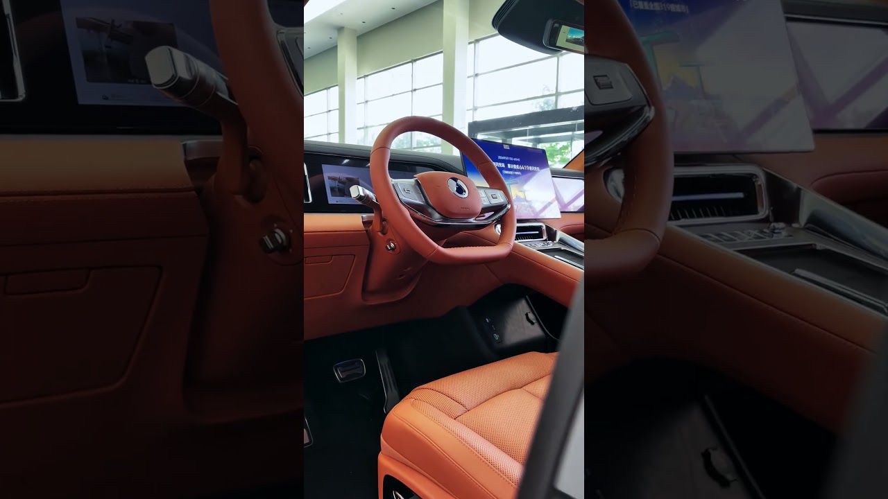 The New 2026 BYD Denza N8 L PHEV#luxury #luxurymotors #luxurycars