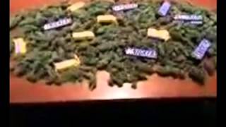Harlem Shake Weed Remix