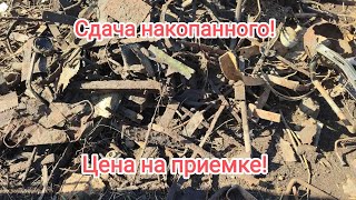 картинка: Не мог я предположить что здесь ещё может быть столько металла! Сдача! Цена на приемке!
