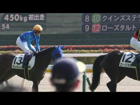 ヴェラメンテ × 武豊、ホーリーエンブレム×ルメール　本馬場入場～返し馬　2歳新馬牝馬限定 2021年11月20日 東京競馬場