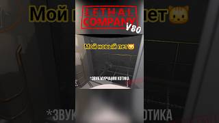 ПОИГРАЛИ С КОТИКОМ! Обновление V80 Lethal Company  #lethalcompany #lethalcompanyv80 #epicfail_bsh