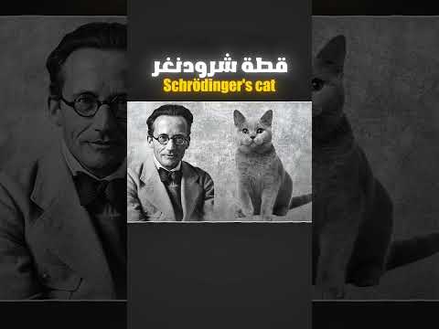 قطة شرودنجر اغرب تجربة في ميكانيكا الكم