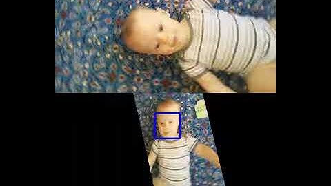 Video Stabilization and Feature Detection using Haar Cascade