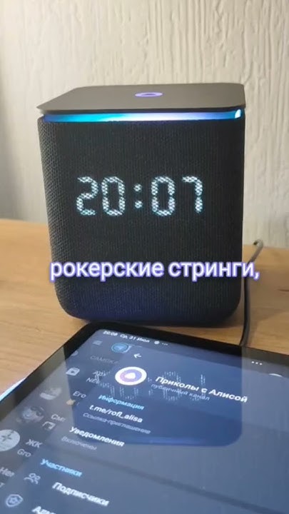 Алиса удивляет своим музыкальным вкусом #юмор #прикол - YouTube