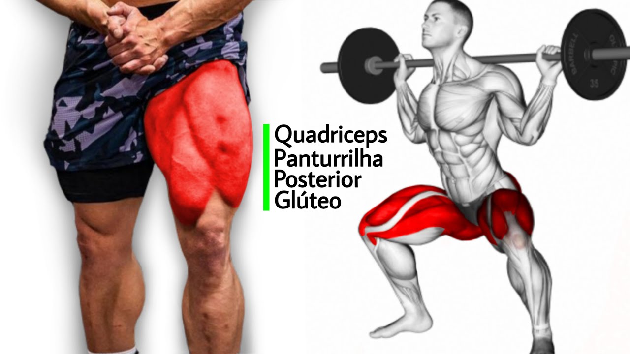 7 Exercícios Para Treinar Quadriceps, Posteiror, Glúteo e Panturrilha ...