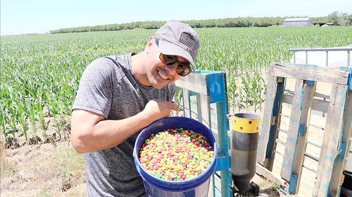 making it Rain Skittles in real life with a cannon
