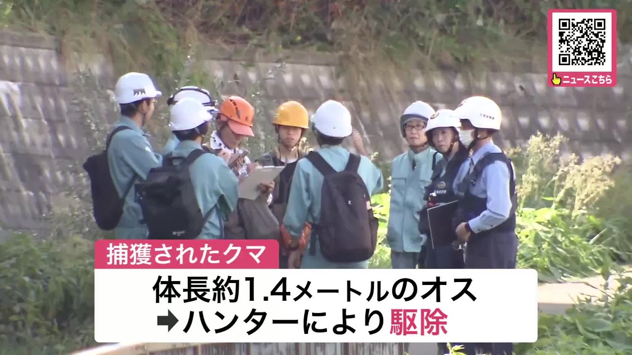 ヒグマ速報】箱わなで体長約1.4mの“オスグマ”1頭捕獲し駆除―足跡を 