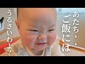 【生後8ヶ月】特に何もない日だけど見てく?