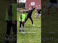 Er en Street Handball Workshop noget for jer? Her besøgte vi Darum Børneby Skole 5-6 klasse