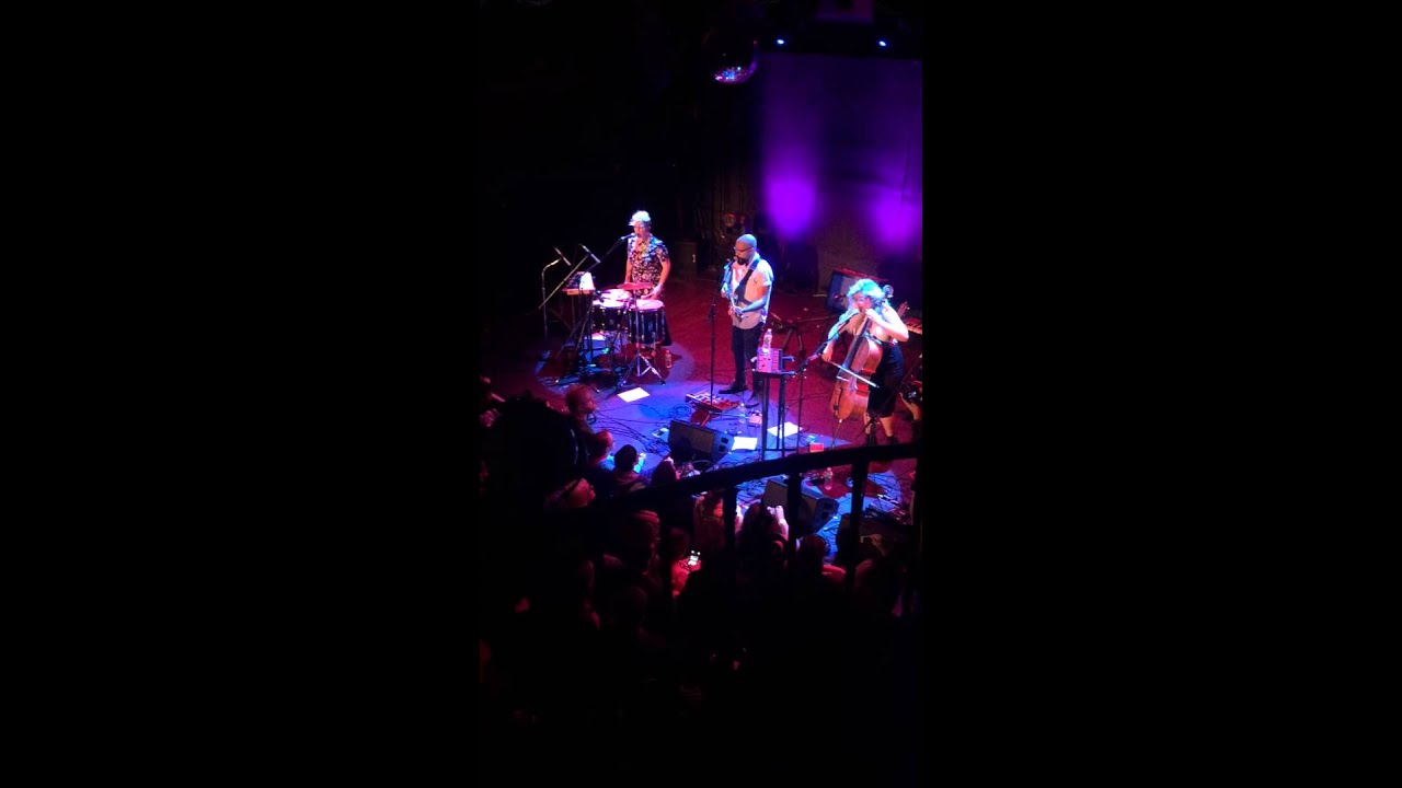 Mira Pearl and the Beard Farewell Performance - James (first half) Bowry Ballroom 11/19/15 en YouTube Mira Pearl and the Beard Farewell Performance - James (first half) Bowry Ballroom 11/19/15 en YouTube