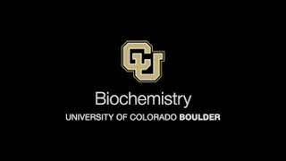 Why This Binding Discovery Matters | Bio Chem Thesis