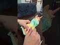 Day 12 of 3D Printing for 365 Days for Friends, Family, Function and Fun! - Rainbow Unicorn