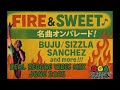 オガラジ名曲オンパレード! BUJU / SIZZLA /SANCHEZ and more!! | OGAWORKS RADIO REAL REGGAE VIBES MIX JUNE 2025