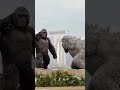 Godzilla And Gorilla Dance Short Shorts Subscribe Shortsfeed Viralshort
