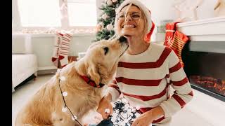 Christmas decorations: How to keep safe from pets