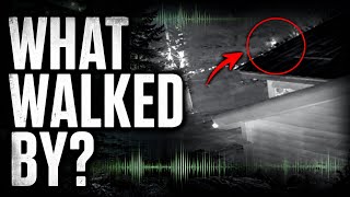 Bigfoot Thermal Footage: Heat Signature After Whoops, Whistles & Knocks