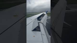 IMG 3135