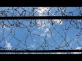 Torture: A world of broken promises