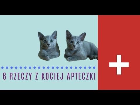 Wideo: Strona główna zadośćuczynienie w leczeniu liszajca na psach