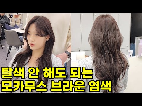탈색없이 염색했을 때 예쁜 <strong>색깔</strong> 추천 모카무스 브라운(2025년 트렌드컬러,염색약 레시피,웨딩 염색으로 강력추천)