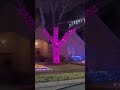 deerfield Christmas lights