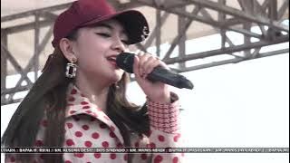 PAMER BOJO - JIHAN AUDY - LIVE NEW PALLAPA Gebyar Pesta Laut PERKUMPULAN NELAYAN MINA BAHARI