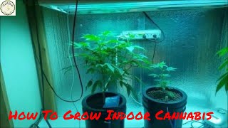 Best Coco Coir Hydroponics Nutrients for Weed - How To Grow Indoor Cannabis mediums Coco Hydro Soil