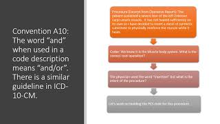 ICD 10 PCS Conventions A1 through A11 Profile