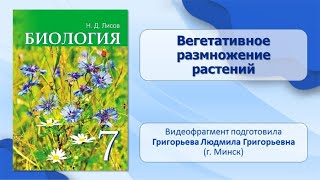 Тема 30. Вегетативное размножение растений. Практическая работа № 4 Способы вегетативного размн.