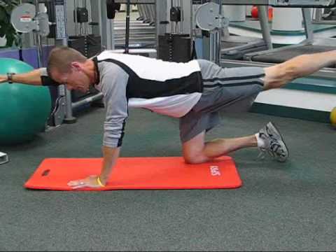 5 Core Stability Exercises You Need to Know 