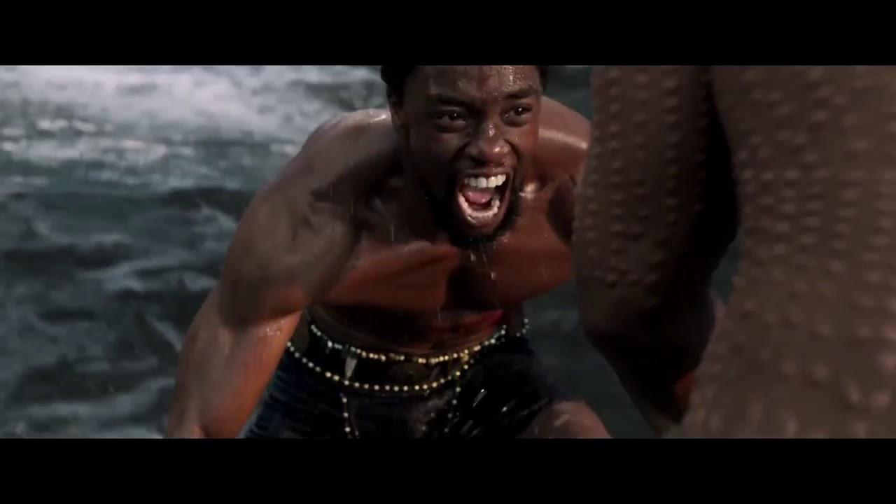 Black Panther Fight Scenes YouTube