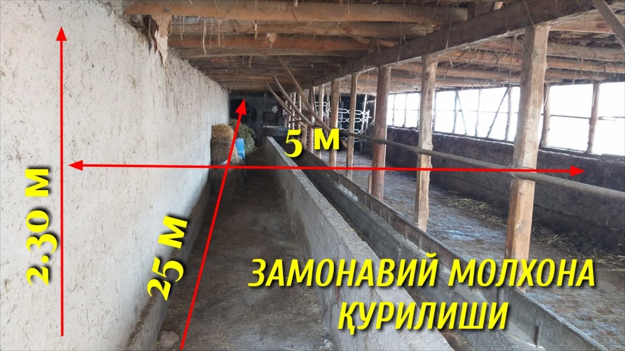 Молхона куриш проекты