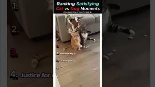 Which one gets your#1 spot? #CatsVsDogs #FunnyPets #PetCompilation #CatVideos #DogVideos #PetLovers