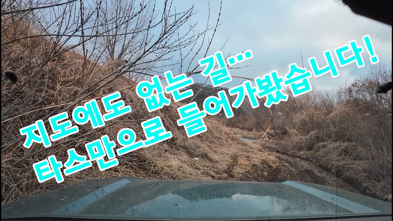 타스만 오프로드 ..뻘탕 속으로..