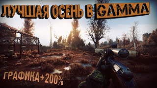 картинка: НАСТОЯЩАЯ ОСЕНЬ, ЛУЧШИЙ РЕШЕЙД и ГРАФИКА в Anomaly GAMMA|моды на графику, как настроить решейд GAMMA