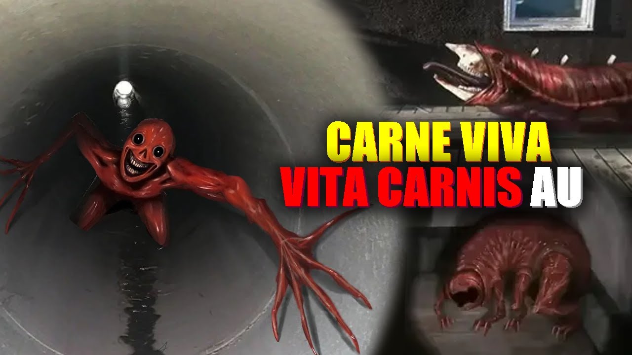 CARNE VIVA - Vita Carnis | TwoMilio