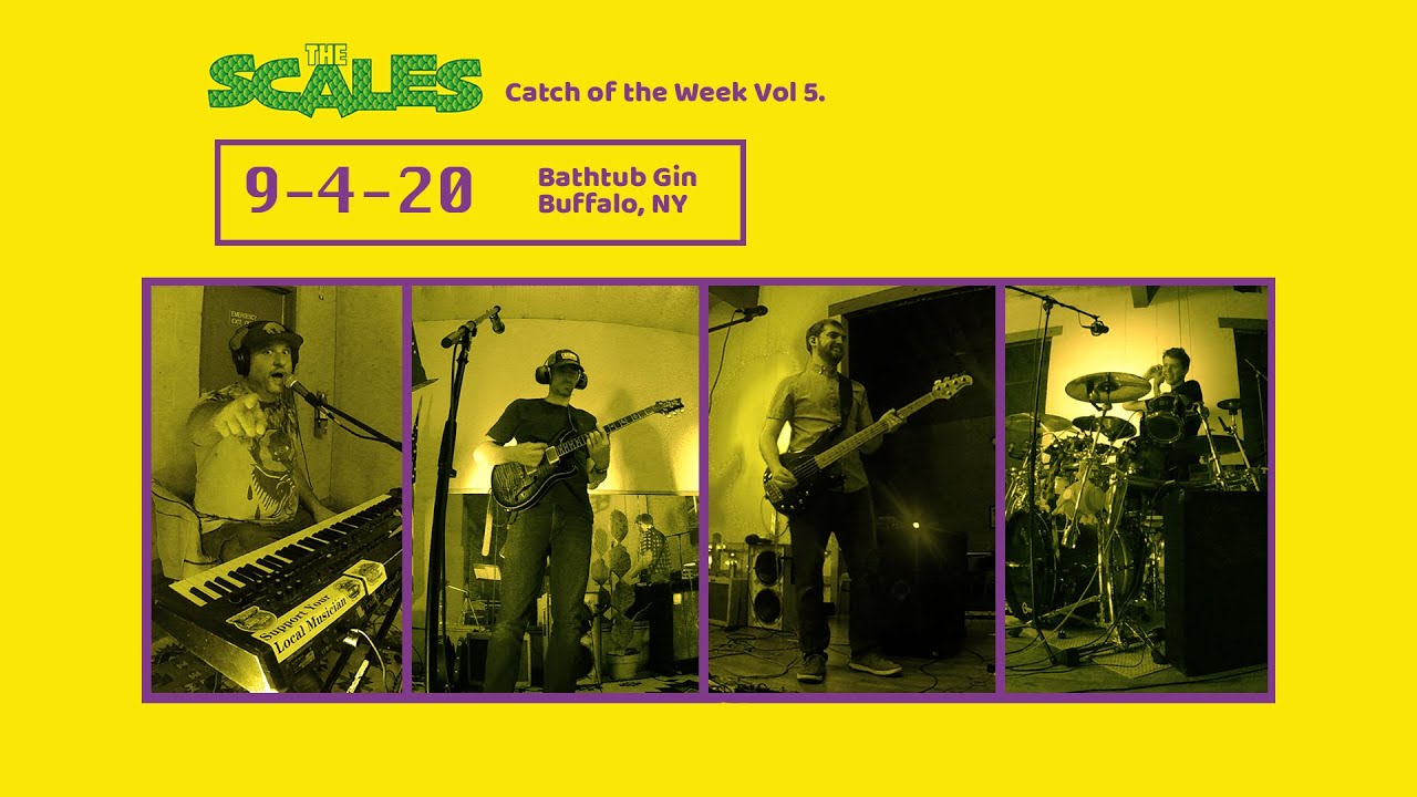 Bathtub Gin (Phish Cover) The Scales 9420 YouTube