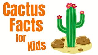 cactus facts kids learn cacti