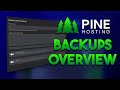 Server Backups Overview | Pine Hosting
