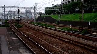 185系　E231系1000番台　新子安駅通過