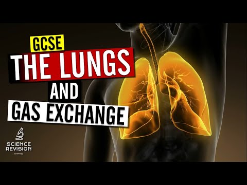 GCSE Science Biology