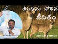 జింకను పోలిన జీవితం || Rev Dr C Prabhakar Rao || Sunday Sermon