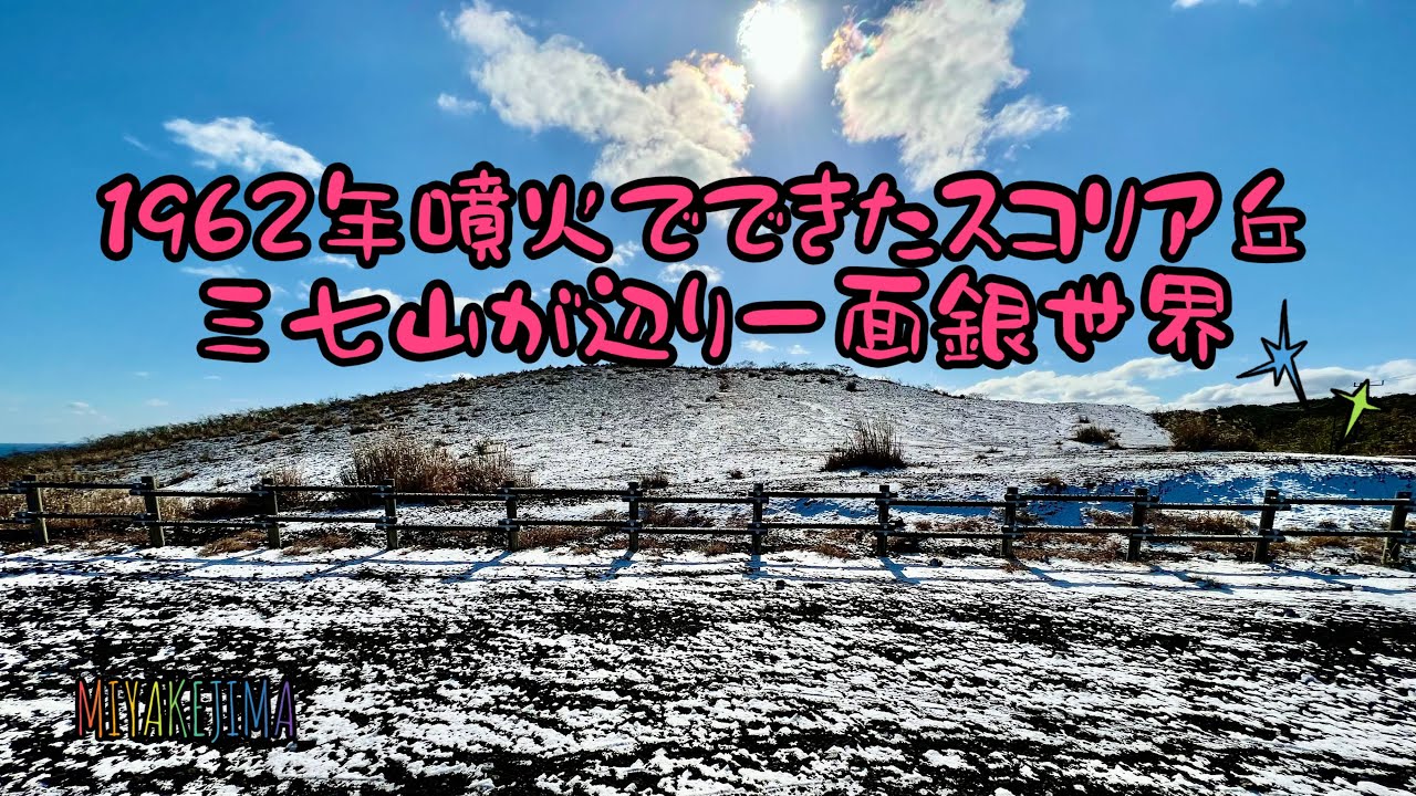 すべての動画