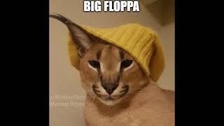 Big floppa raps
