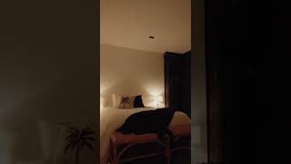 21-23 Stylebawn Drive, Berwick VIC 3806 #realestateaustralia