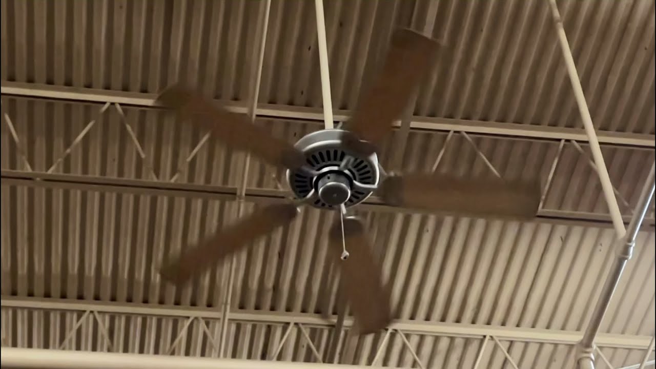 8 52” Harbor Breeze Builder’s Best and 4 52” Fasco Gulf Stream Ceiling Fans at Spirit Halloween