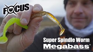 Un leurre souple ultra polyvalent pour pêcher le carnassier : focus sur le Super Spindle Worm.